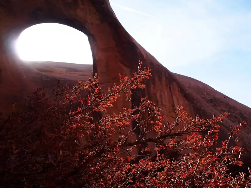A red sandstone arch with red leaves in the foreground