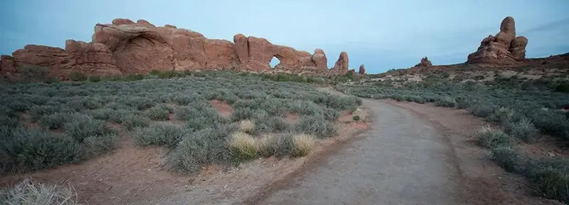 A hard surface trail winds through green low-lying vegetation. In the distance, the trail leads to tall striking rock formations, including an arch. The rock is varying colors of red and tan. The sky is blue.