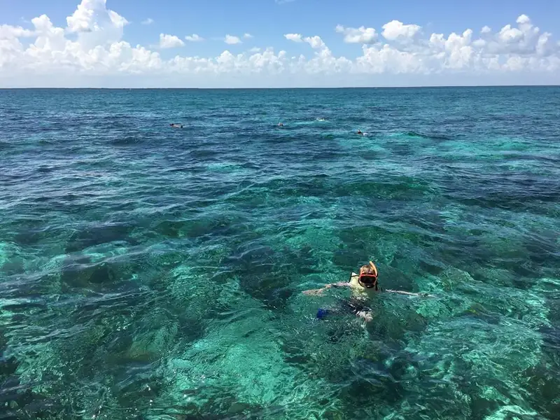 People snorkeling in crystal blue waters