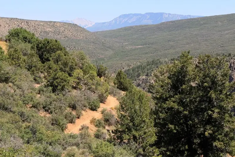 View of a dirt trail between shrubland vegetation. Mountains and canyon walls are in the background.