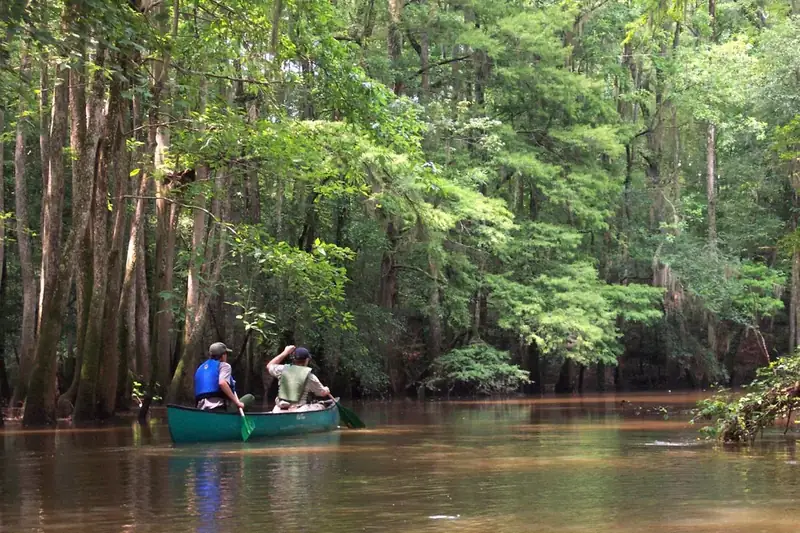 Two people in a canoe on a narrow creek surrounded by forest