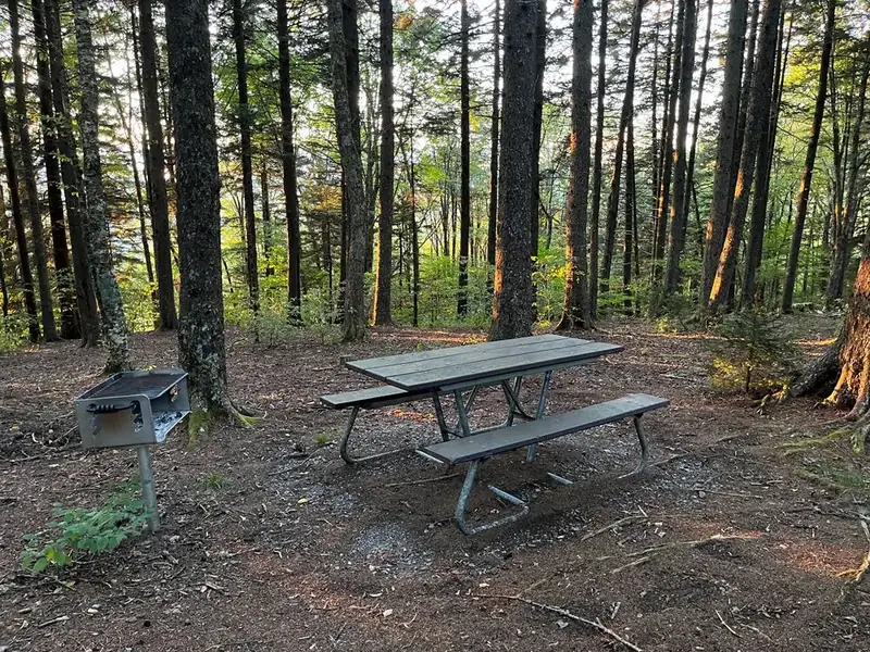A picnic table and raised charcoal grill in the forest.