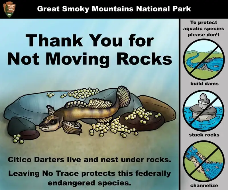 A animated Citico Darter below text that says, "Thank You for Not Moving Rocks." Circles with a slash through them say, "please don't build dams, stack rocks, or channelize." "Citico darters live and nest under rocks." Leave No Trace.