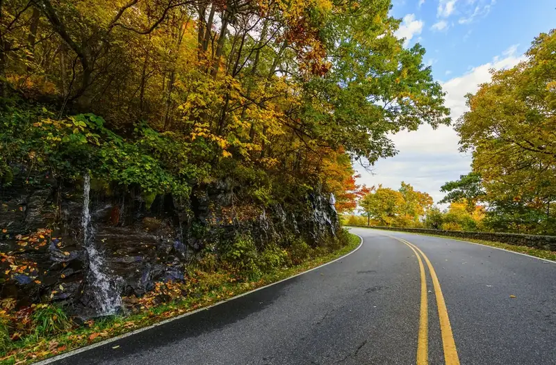 A road surrounded by fall foliage turns a curve around a small waterfall. 
