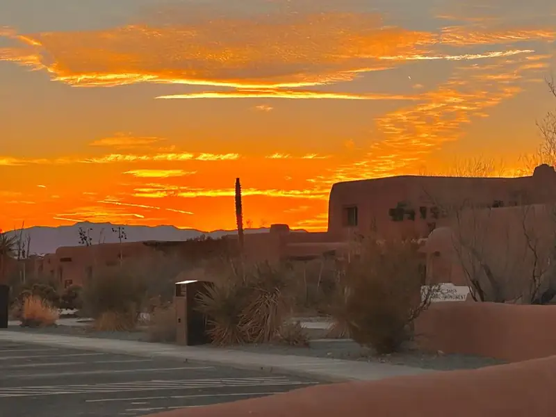 a variety of desert plants sits in front of an adobe structure. A golden organge sunset lights the sky behind the building.