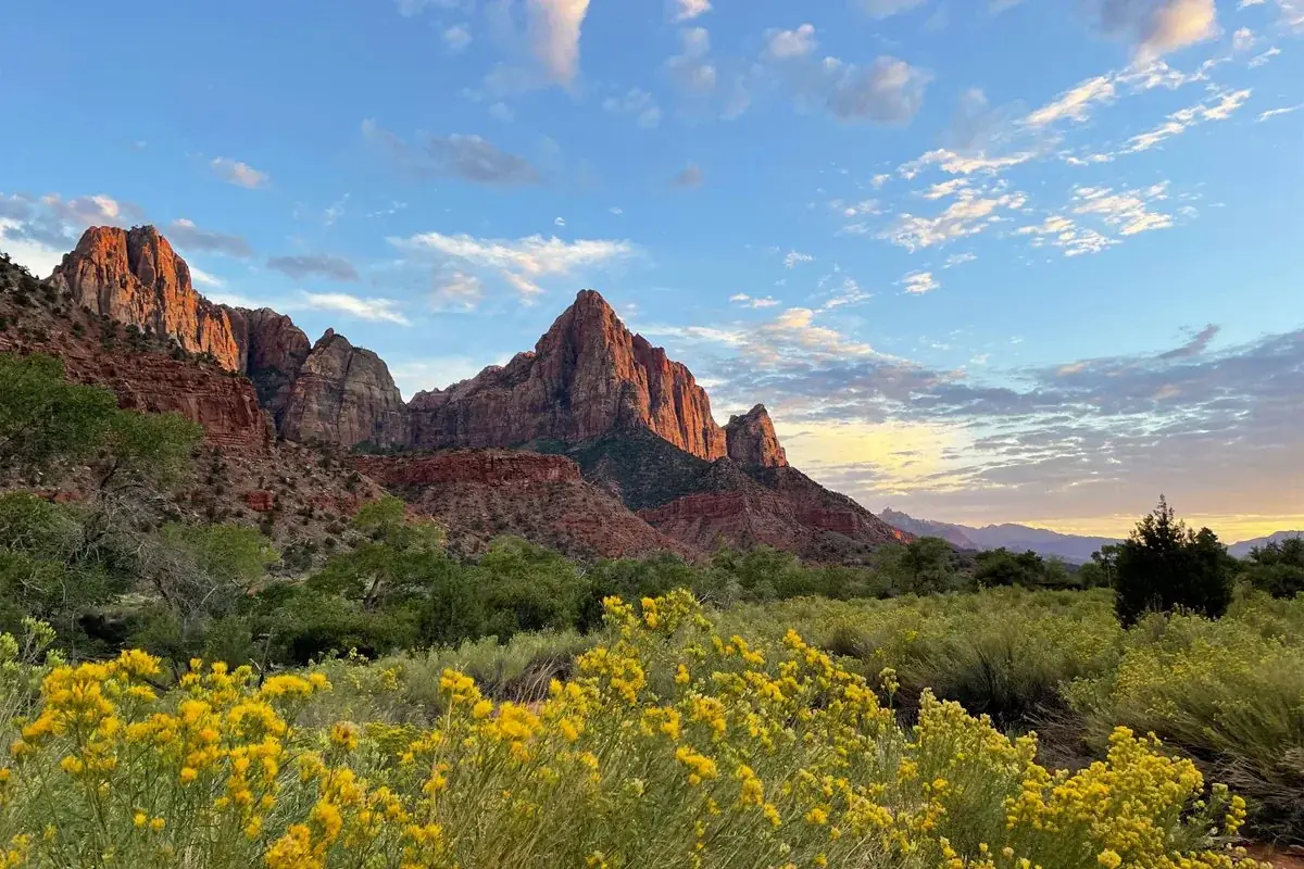 Zion National Park scenery