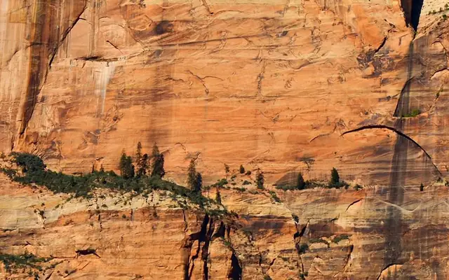 Zion landscape