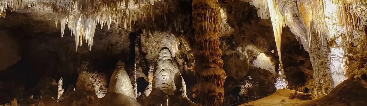 Carlsbad Caverns National Park landscape