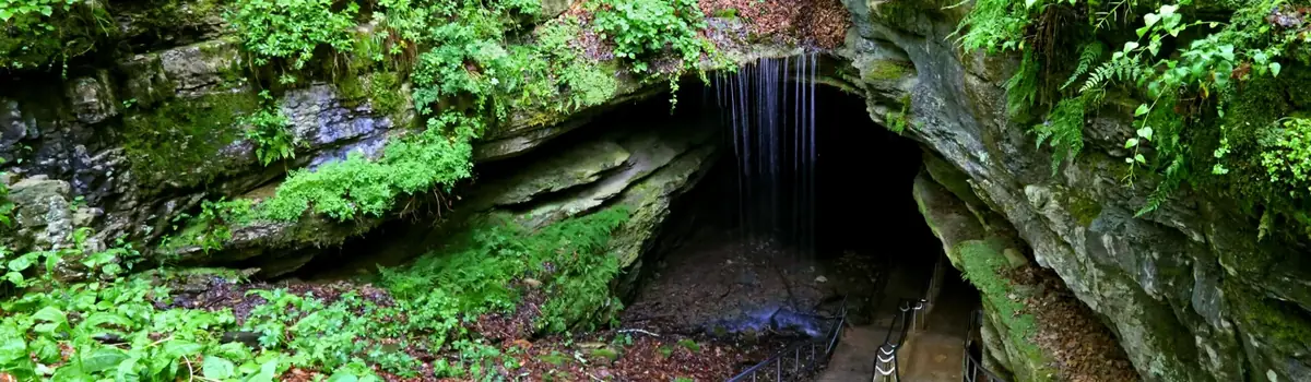 Mammoth Cave National Park landscape