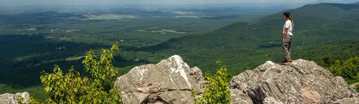 Shenandoah National Park landscape