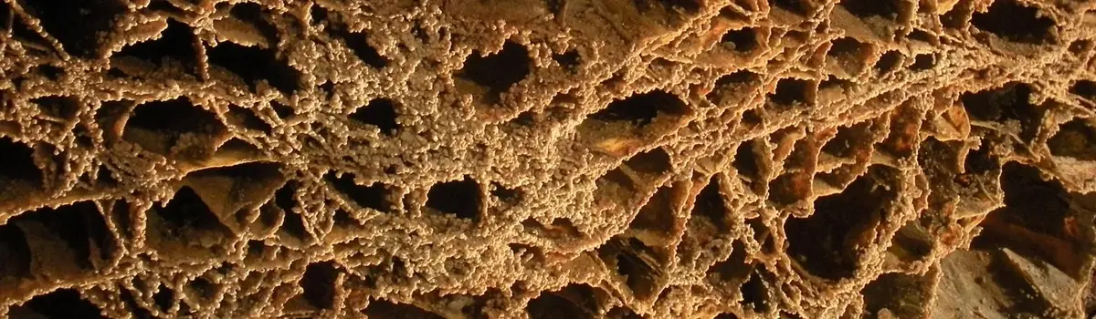 Wind Cave National Park landscape