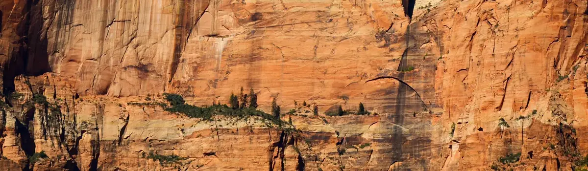 Zion National Park landscape